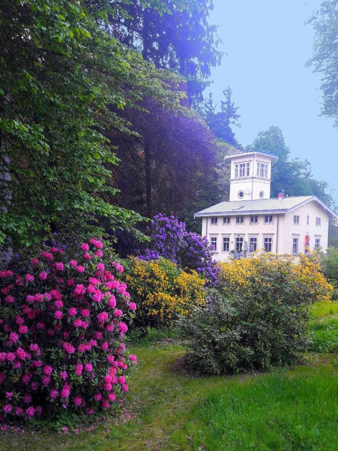 Villa Rapunzel Trifft Dornroeschen Rosenthal-Bielatal Exterior foto