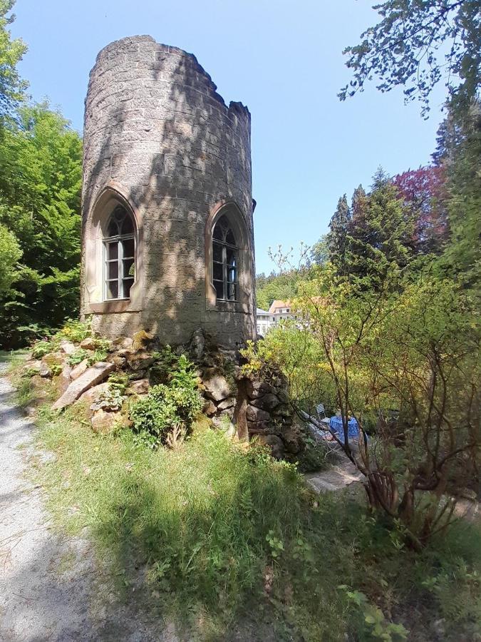 Villa Rapunzel Trifft Dornroeschen Rosenthal-Bielatal Exterior foto