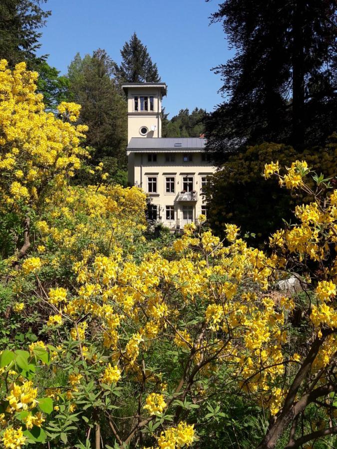 Villa Rapunzel Trifft Dornroeschen Rosenthal-Bielatal Exterior foto